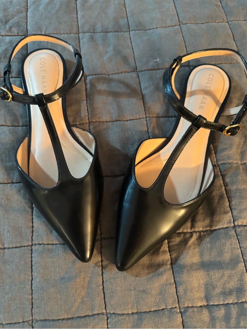 Marla T-Strap Ballet Flats 🖤 Cole Haan
